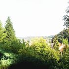 grün