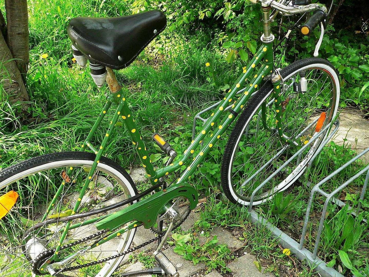 grün ernst genommen in der grünen FahrRadStadtFreiburg