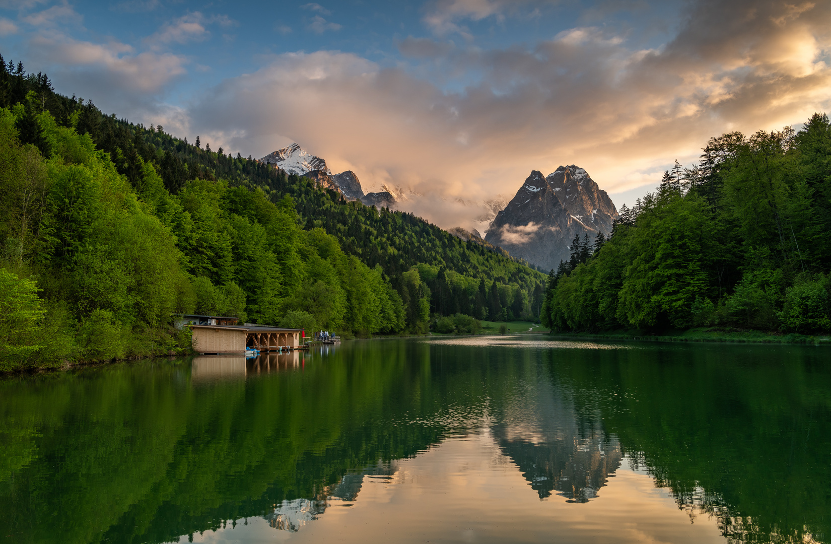 Grün erobert die Natur