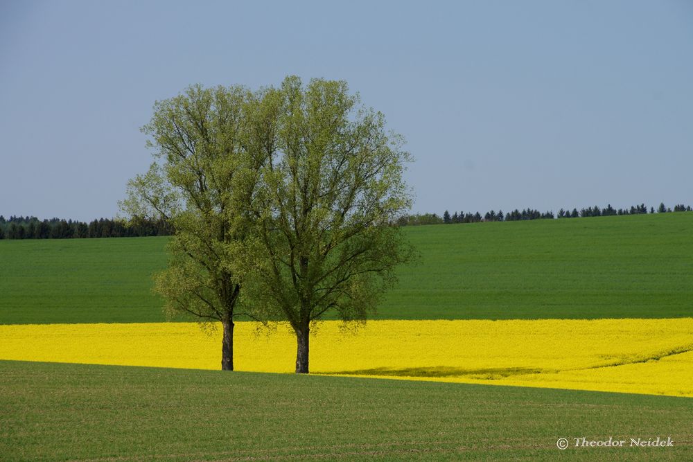 grün, gelb, blau