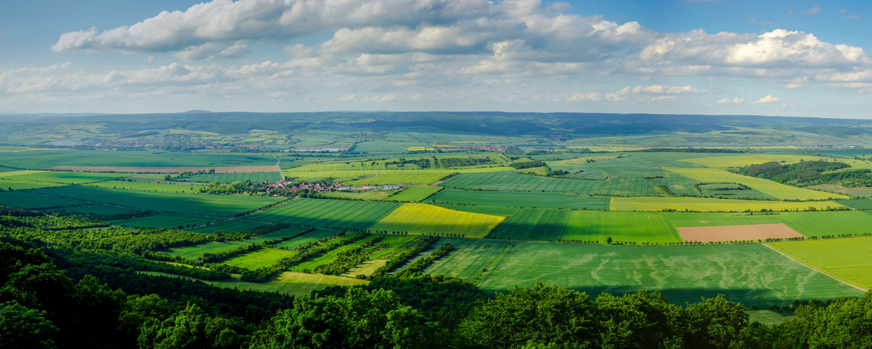 grün gelb blau