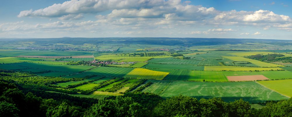 grün gelb blau