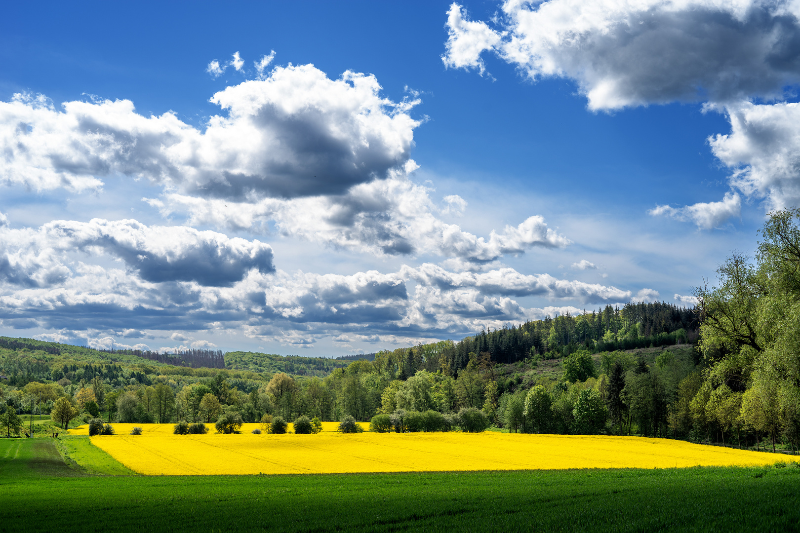 Grün, Gelb, Blau-Weiß.