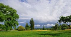 grün, gelb, blau, weiss