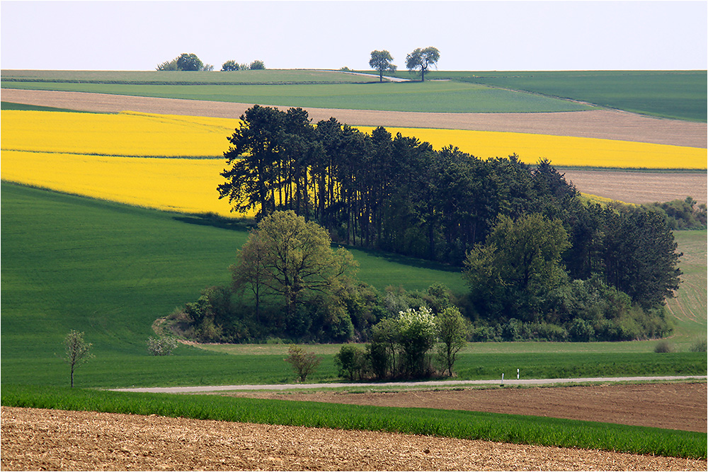 Grün-Gelb