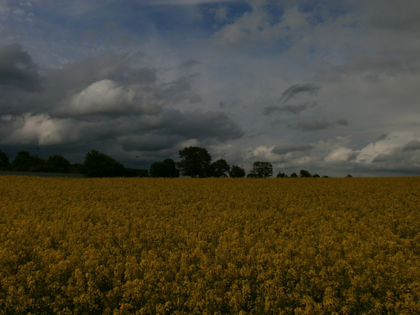 Grün, gelb, graublau