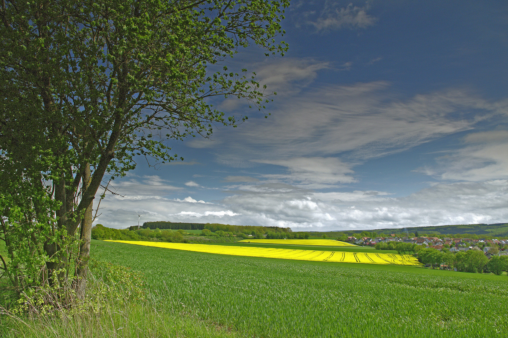 Grün - Gelb in Niederense