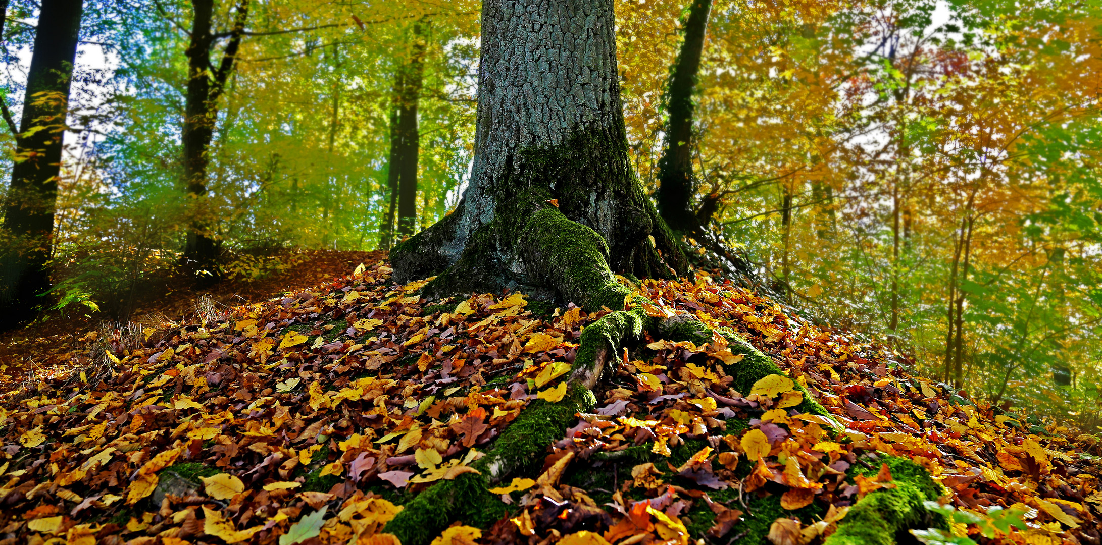 Grün Gelb Orange