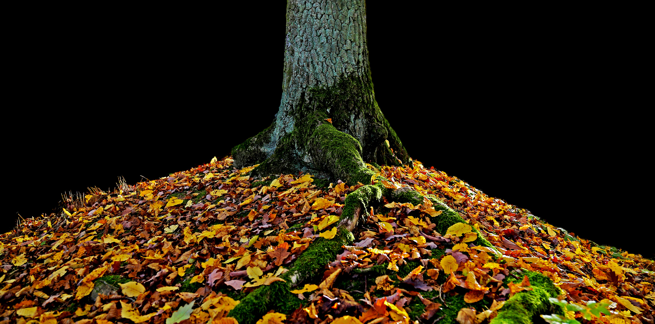 Grün Gelb Orange Schwarz