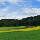 Grün, Gelb und Blau