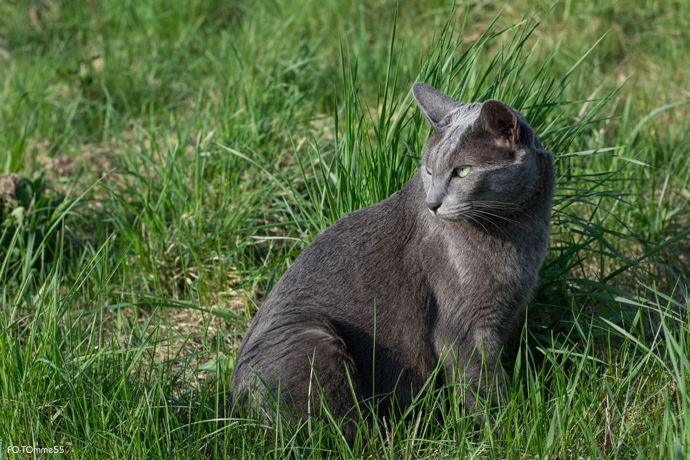 Grün & Grau