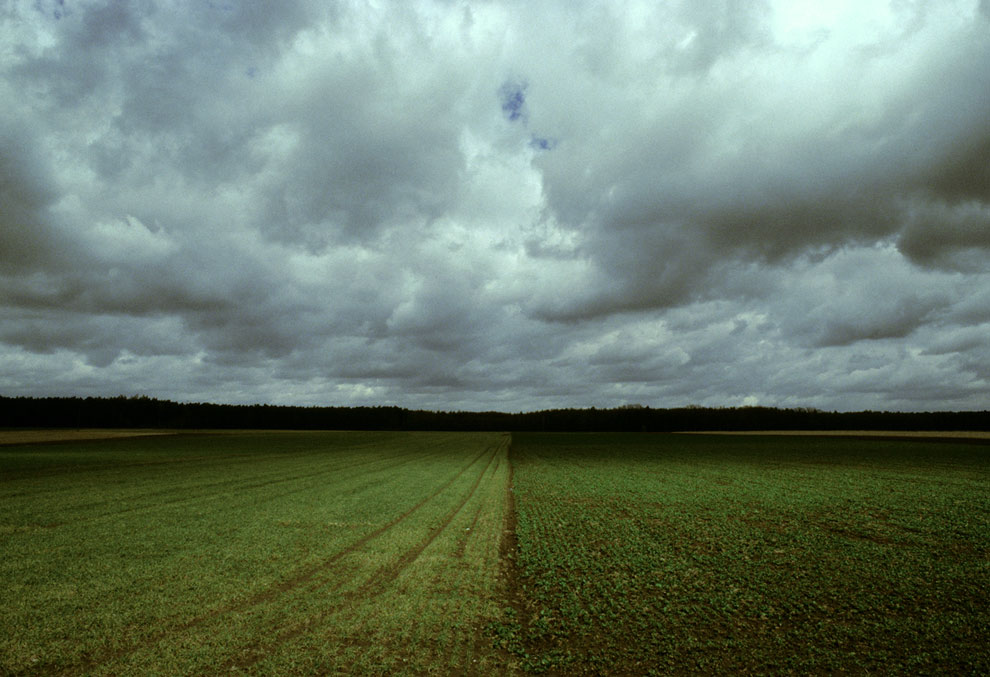 grün | grüner (analog)