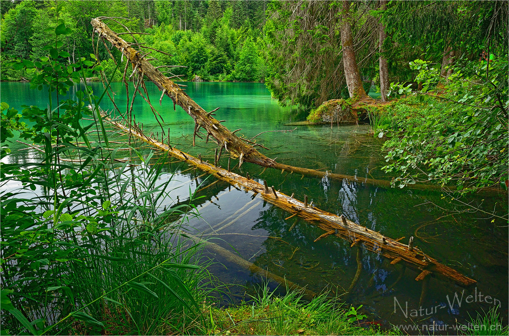 Grün, Grüner, Crestasee