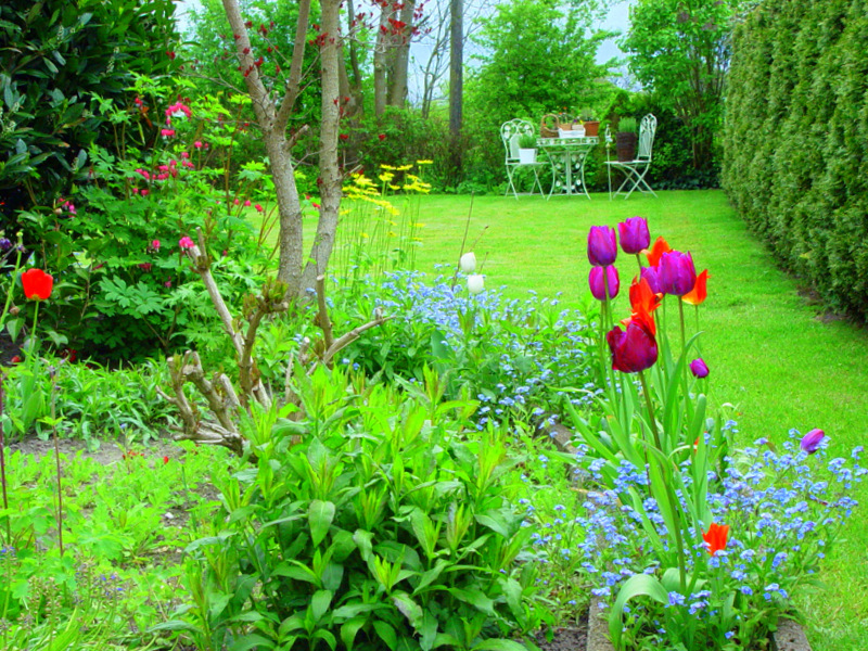 Grün im Garten