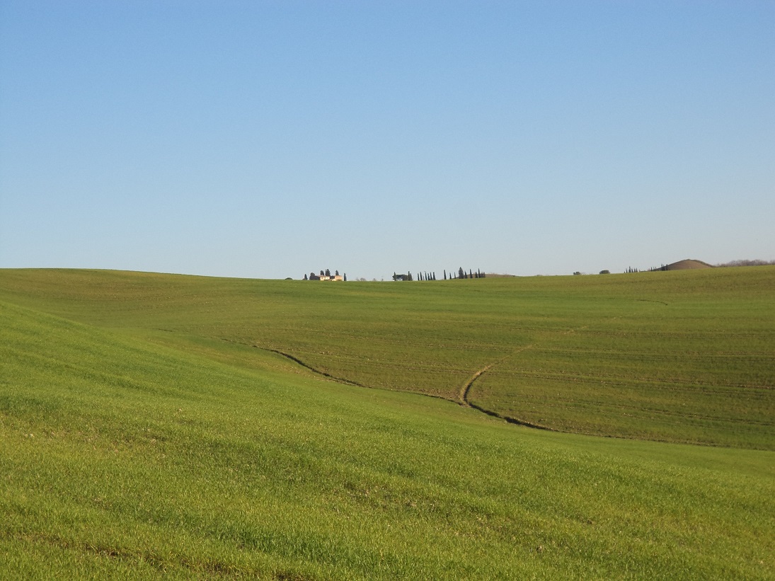 Grün im Januar