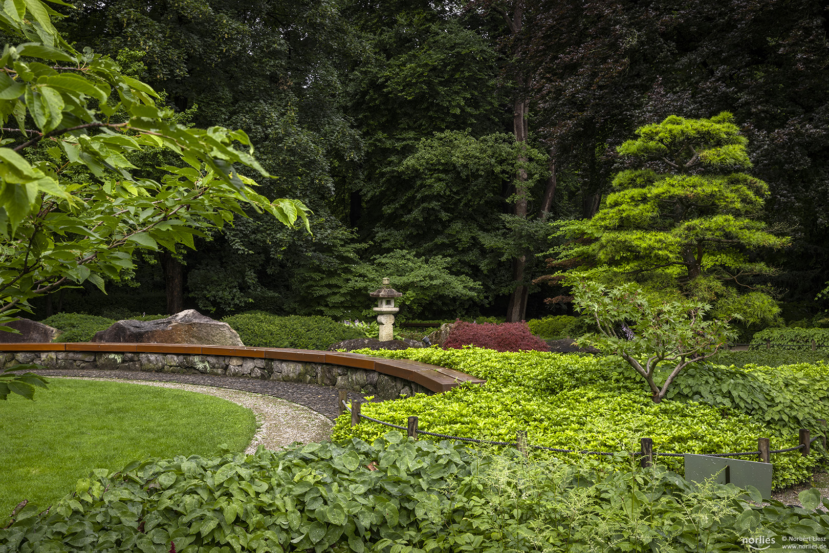 Grün im Japangarten