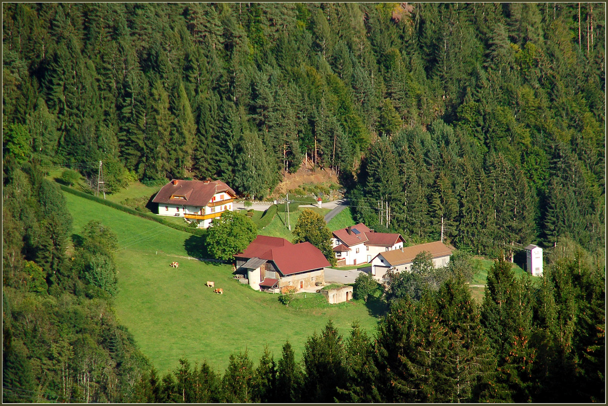 Grün im September...