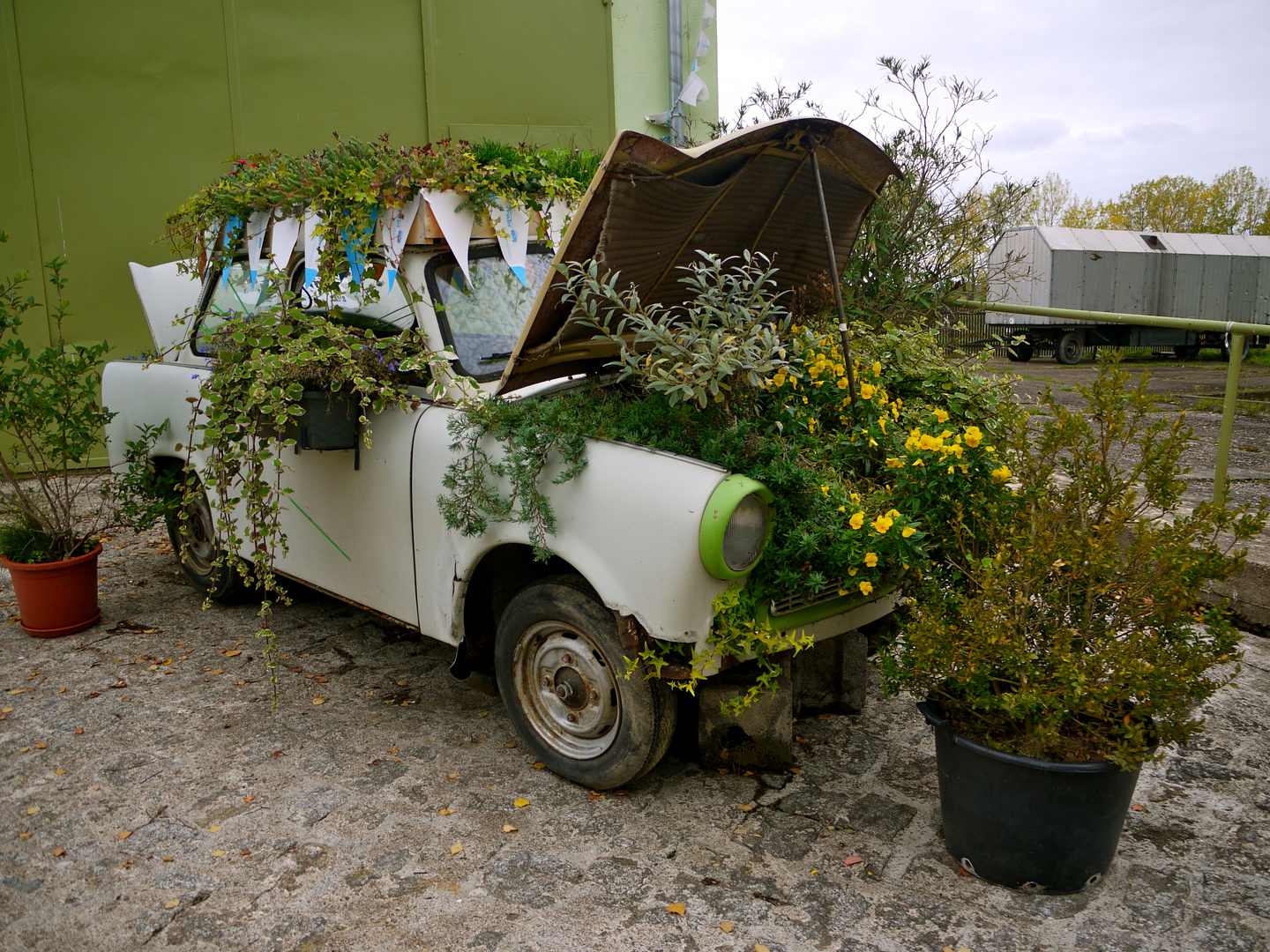 Grün im Trabbi