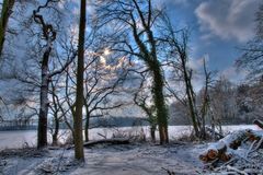 Grün im Winter