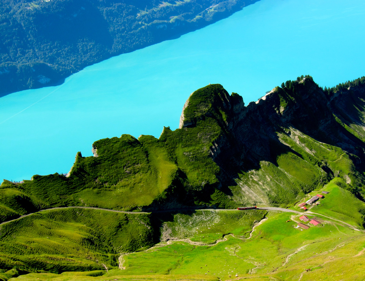 Grün in Blau