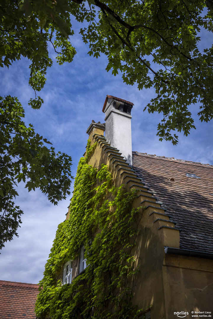 Grün in der Fuggerei