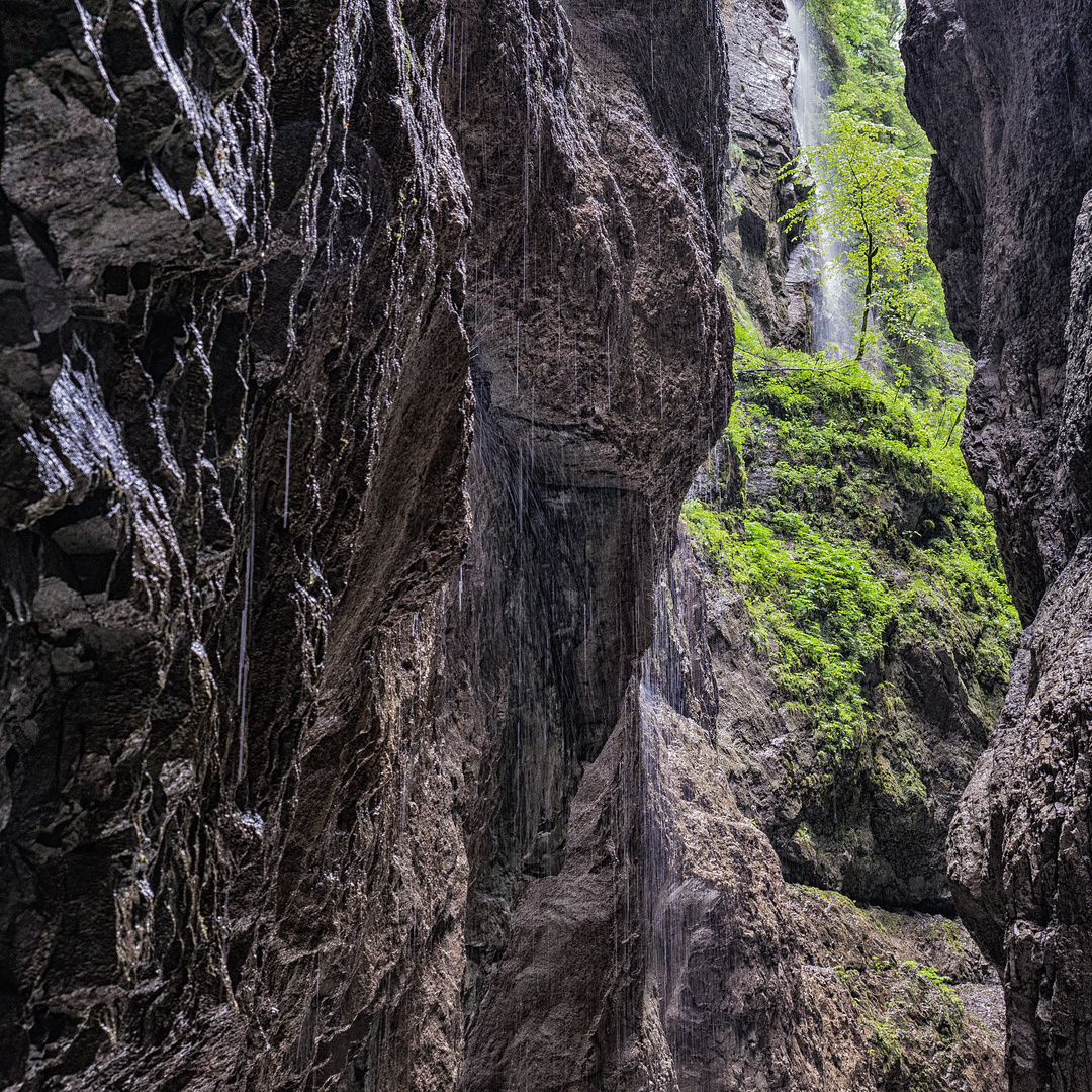 Grün in der Klamm