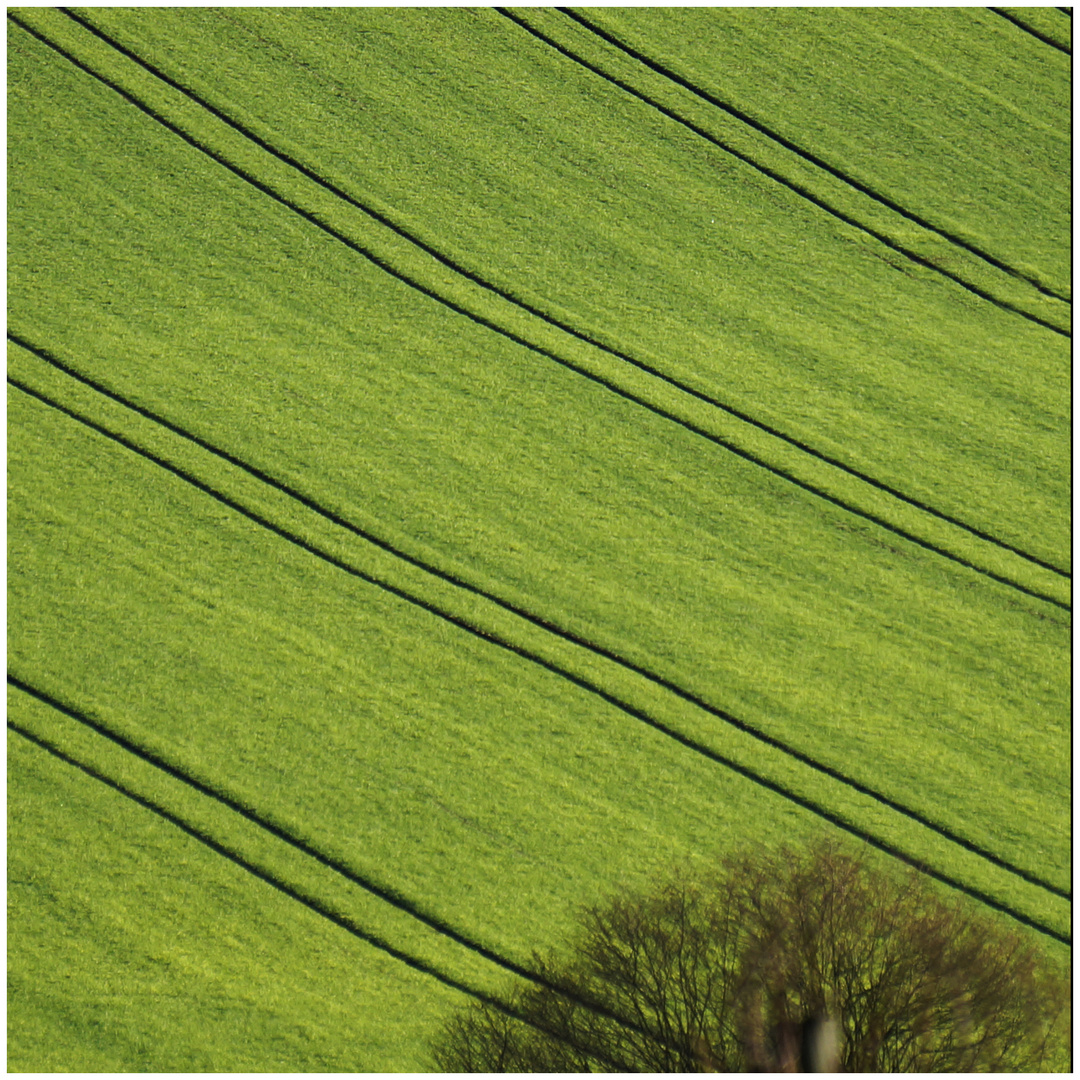 Grün in der Landschaft