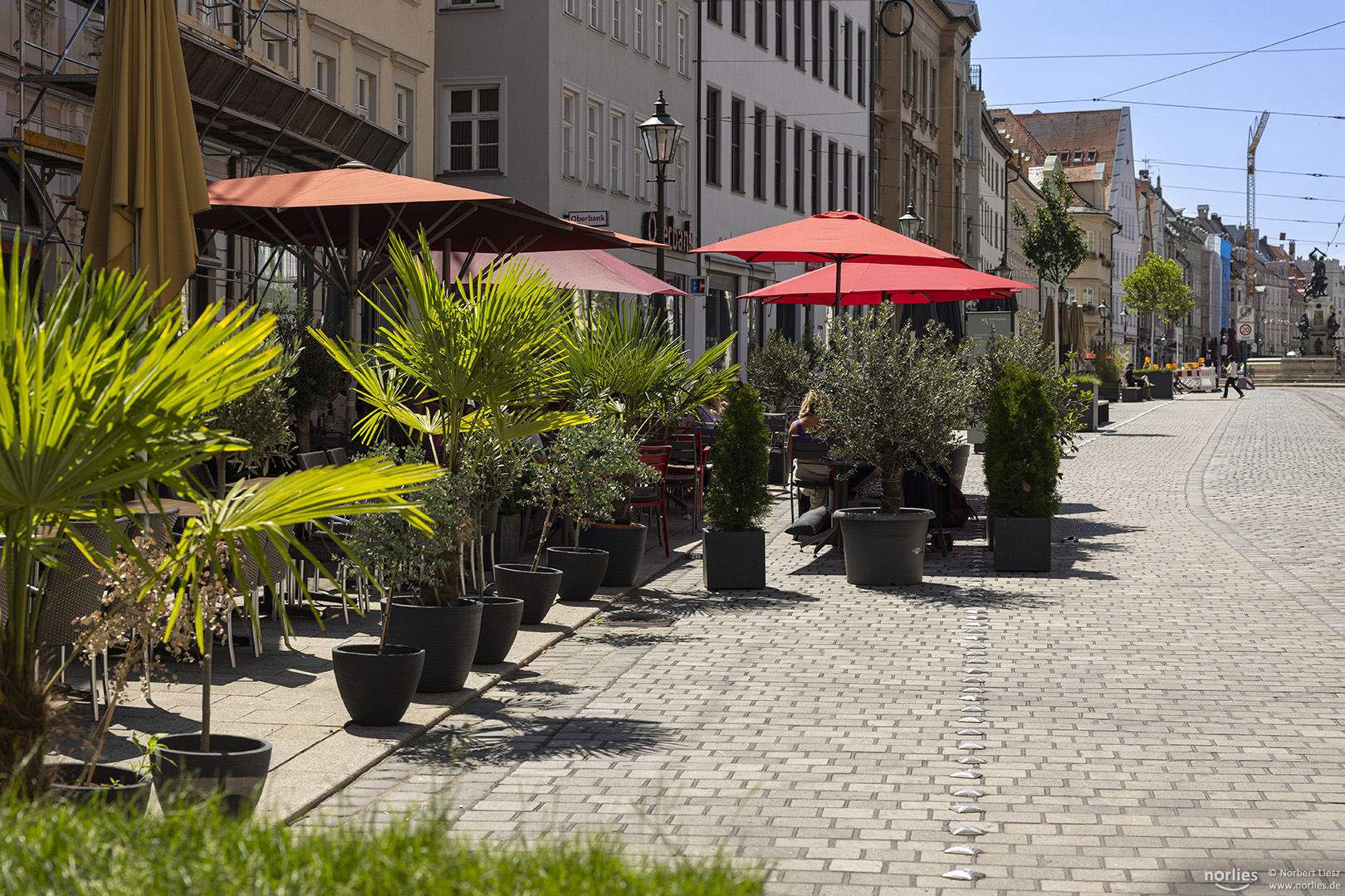 Grün in der Maximilianstraße