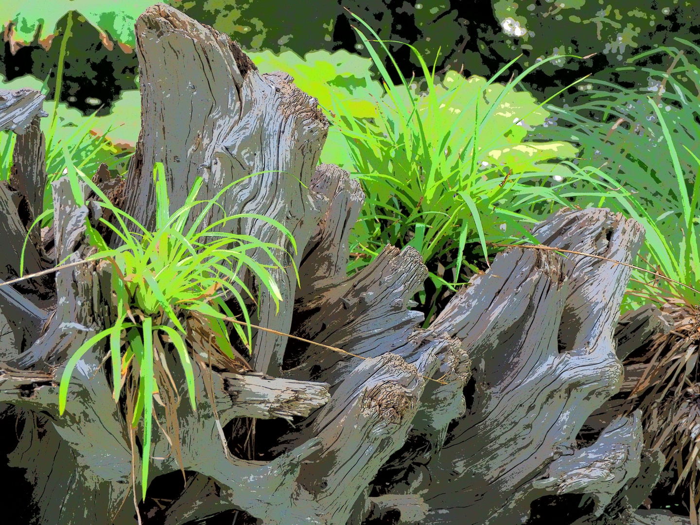 Grün in Holz eingeflochten