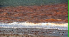 Grün ist das Land, Rot ist die Kant, Weiss ist der Sand, das sind die Farben von Helgoland