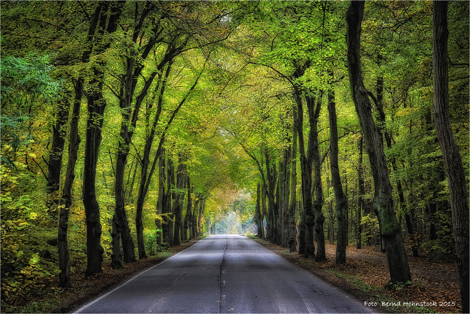 Grün ist der Herbst ... in Sachsen-Anhalt