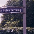 Grün ist die Hoffnung