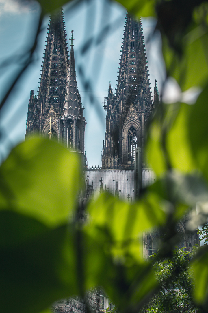 Grün mit Durchblick