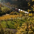 Grün Rot im Weinberg