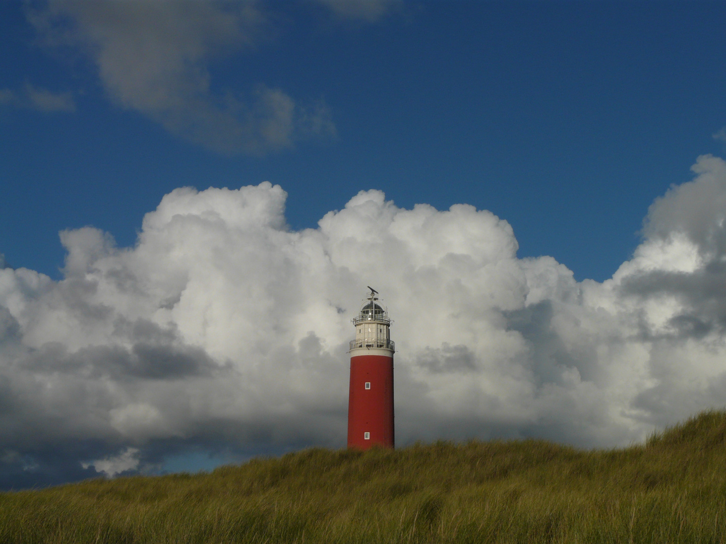 Grün-Rot-Weiß-Blau