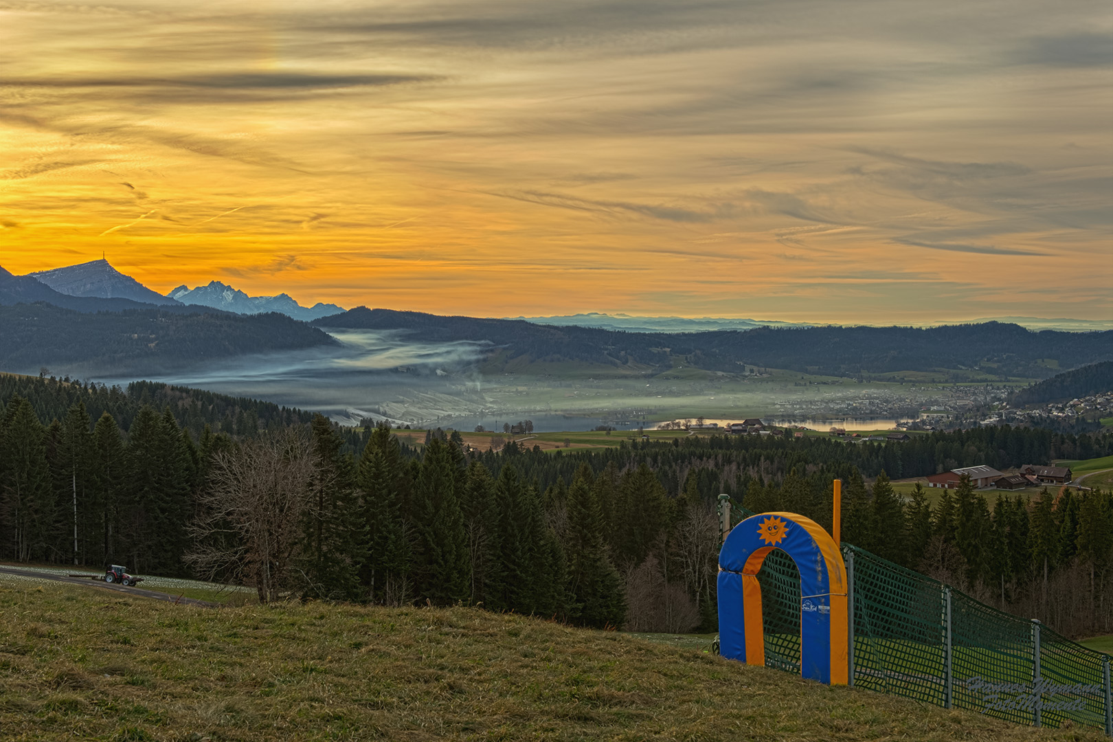 Grün statt Weiss