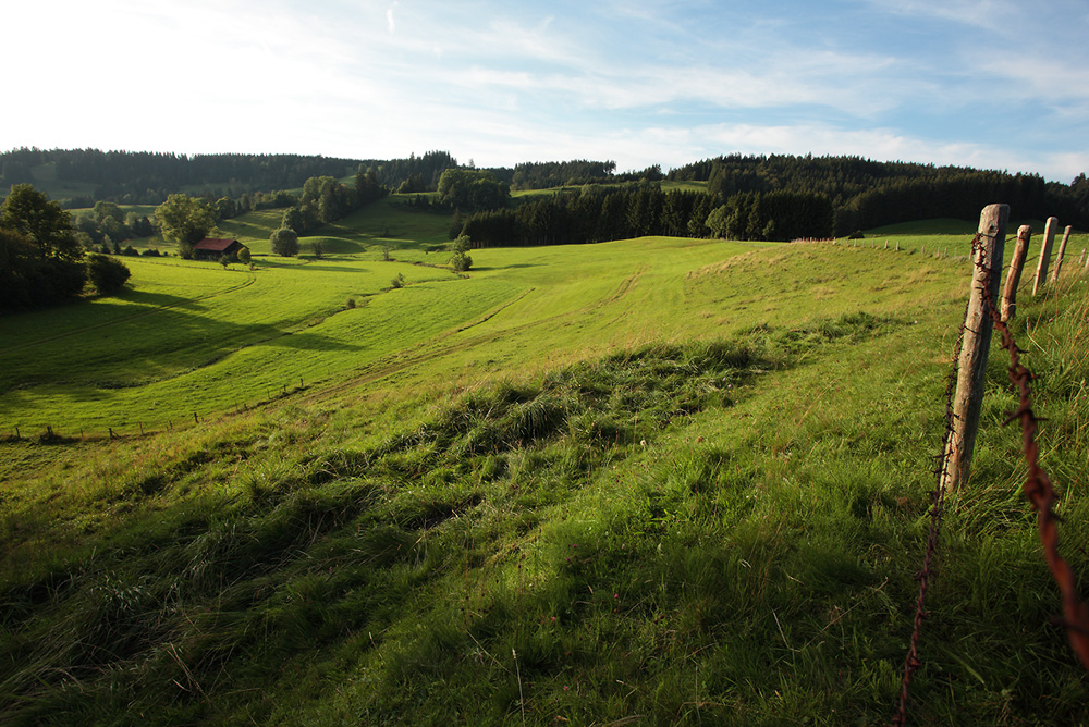 grün, Teil 2