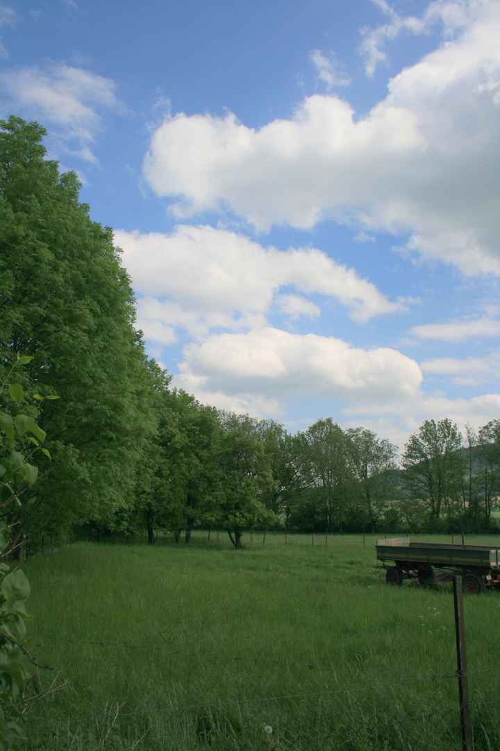 grün trifft auf blau