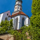 Grün um die Ulrichsbasilika