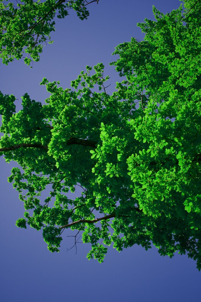 Grün und Blau