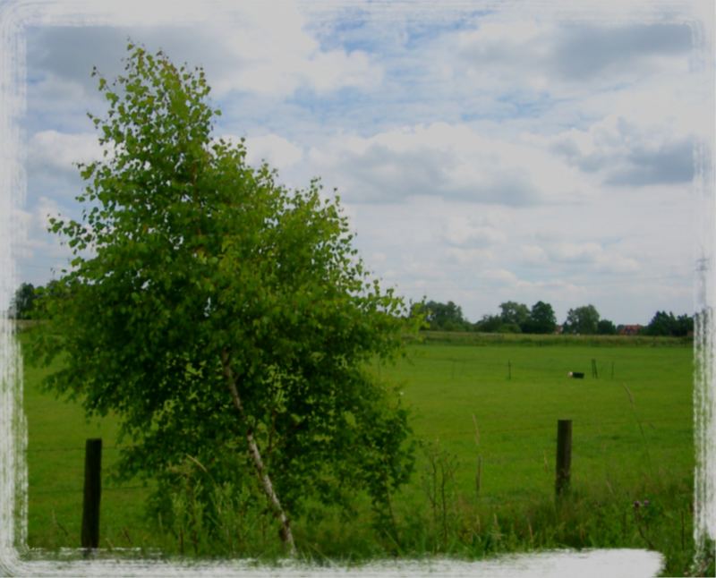 Grün und Blau