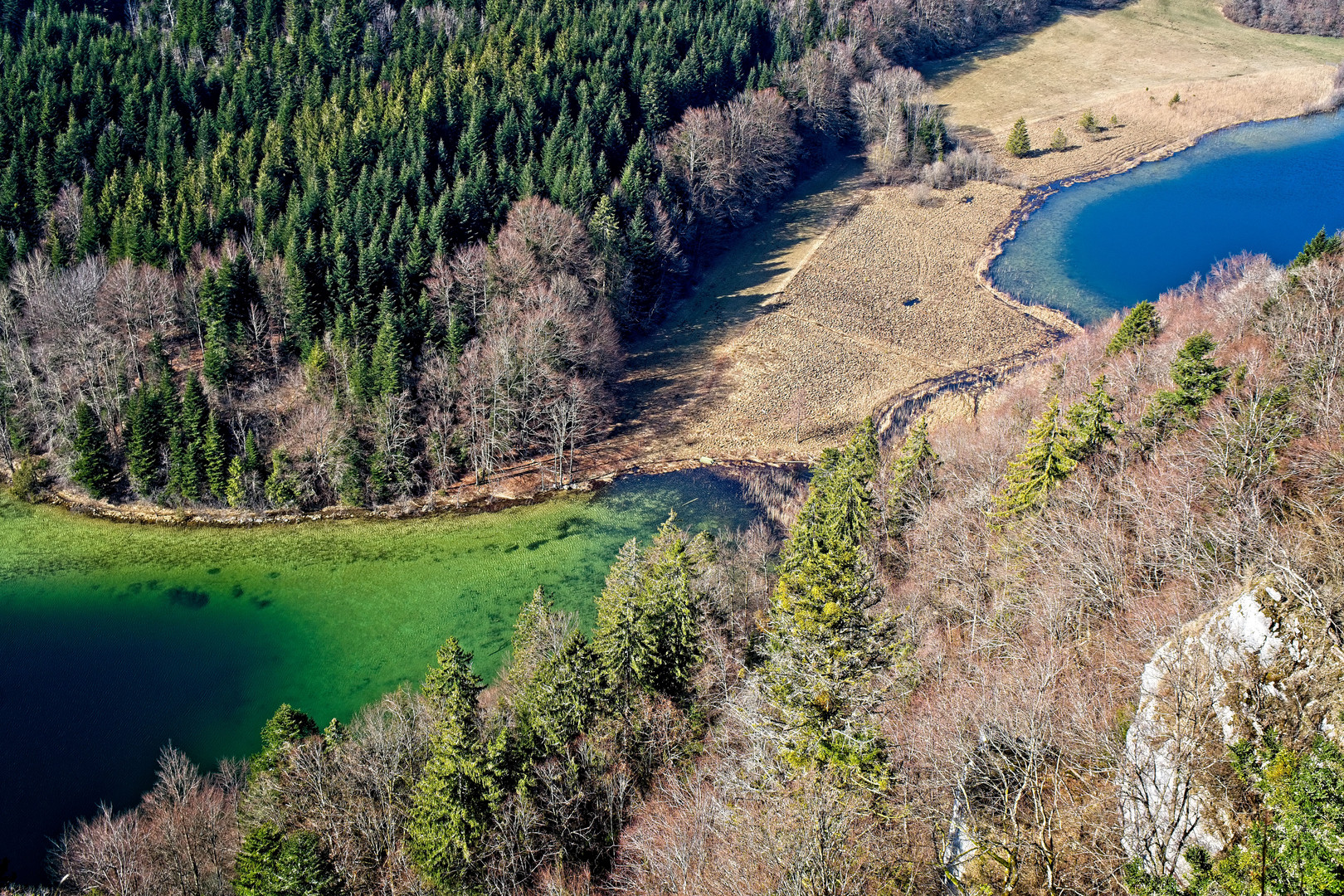 Grün und blau