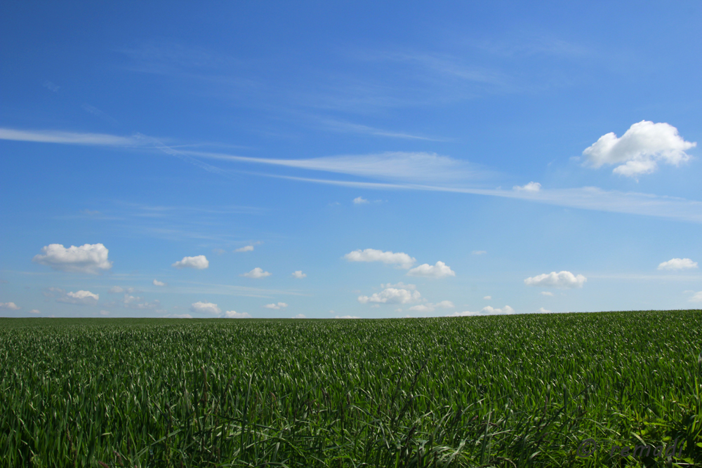 Grün und Blau