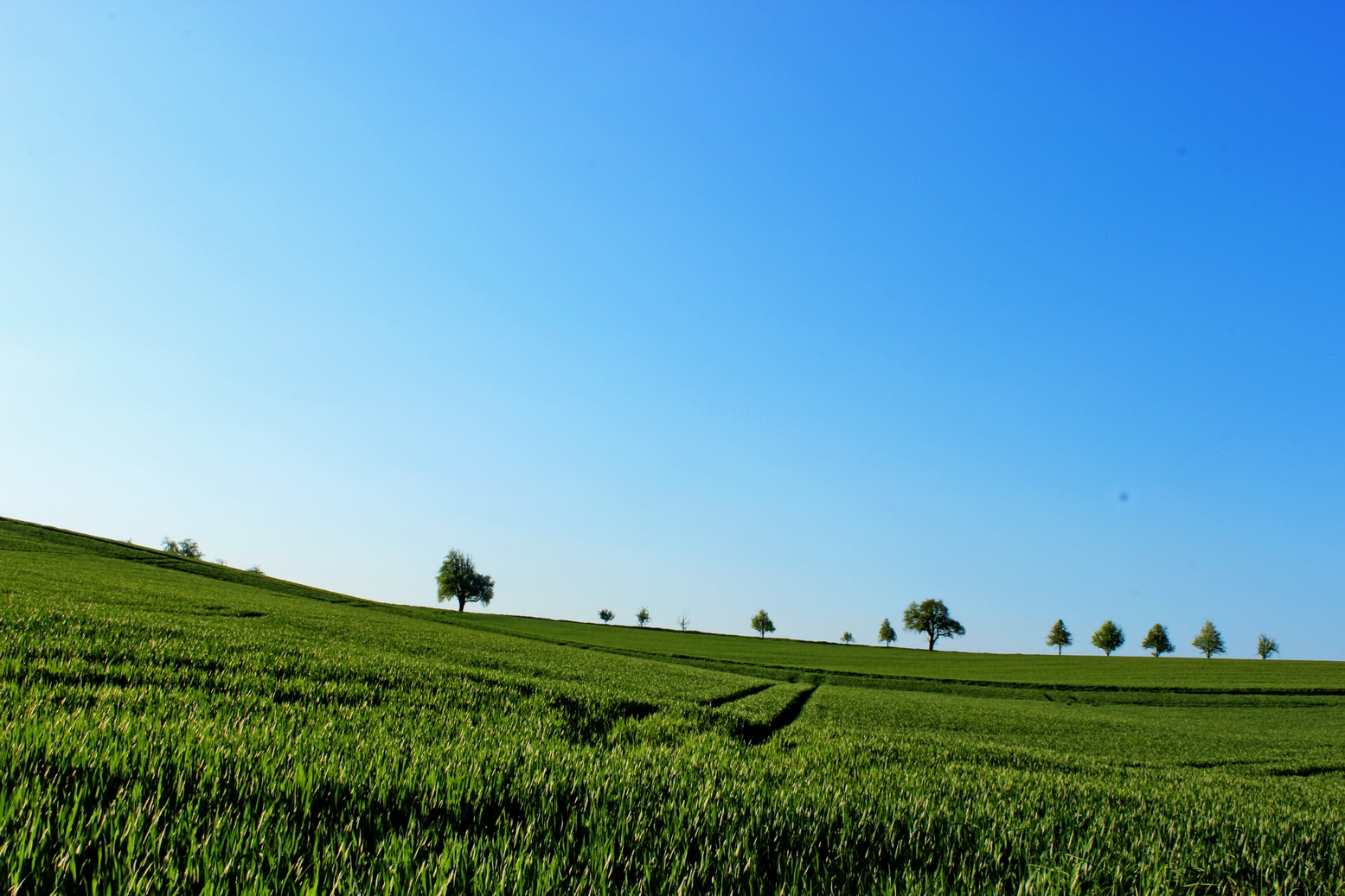 Grün und Blau