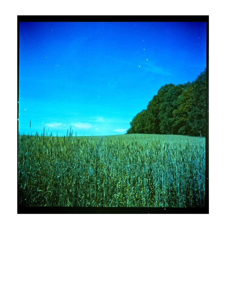 GRÜN UND BLAU geschlagen