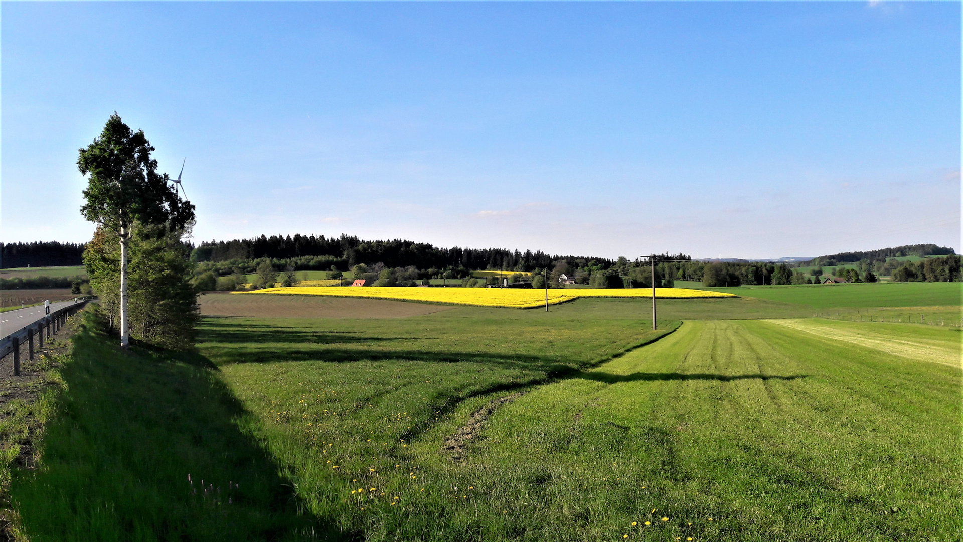 Grün Und Gelb Grün Und Gelb