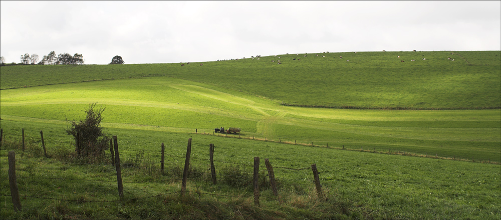 Grün und grau