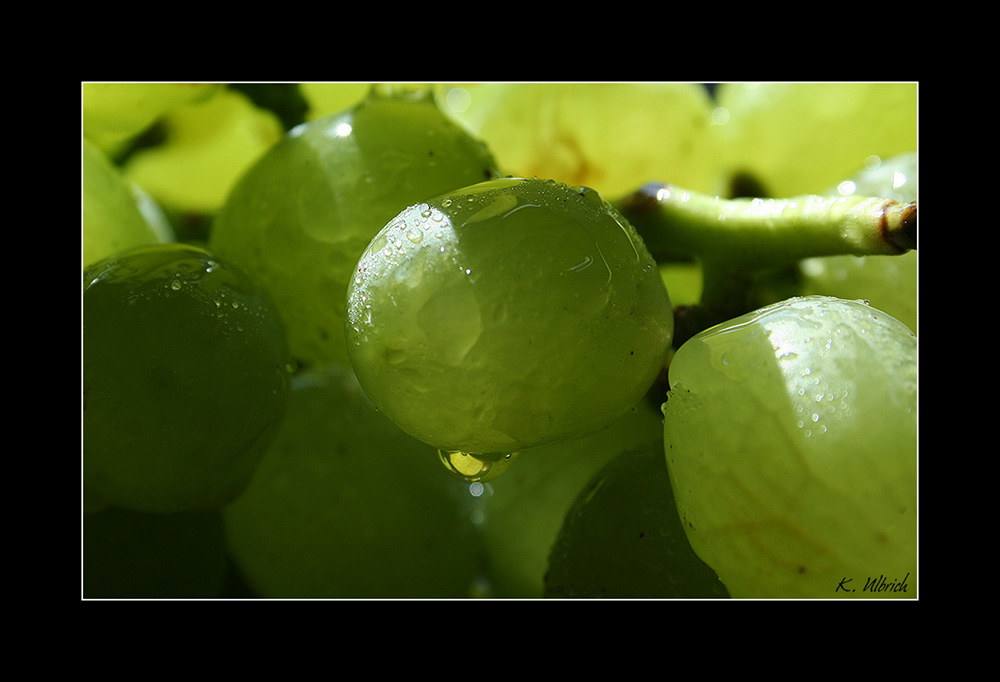 Grün UND Lecker