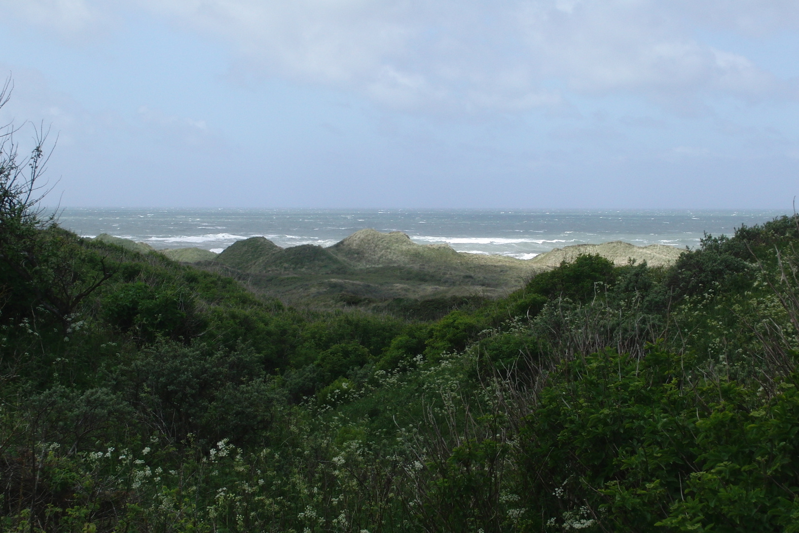 Grün und Meer