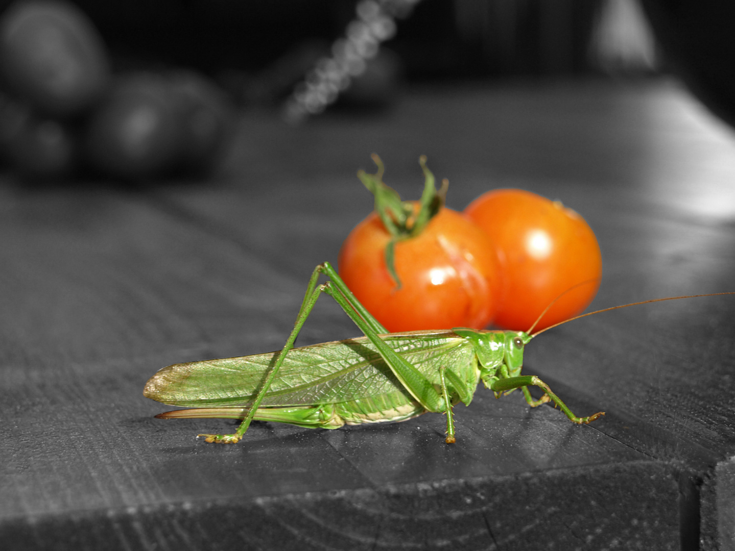 Grün und Rot